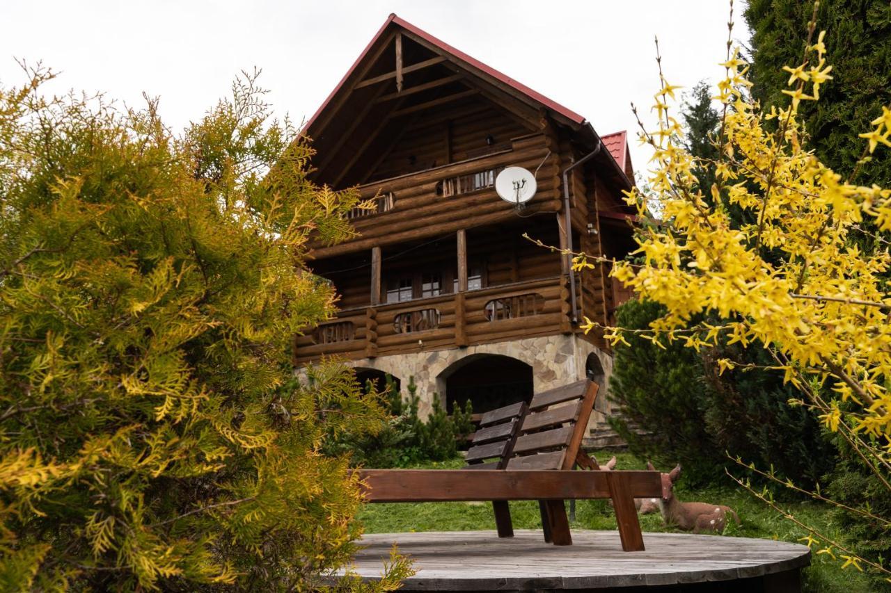 Медовий Vorokhta Exterior foto